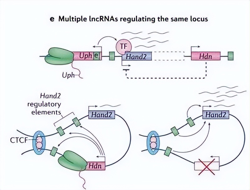 nature最新论文,nature论文最新发现