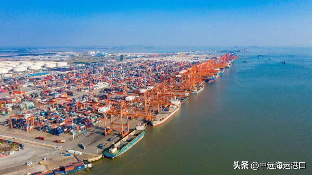 csp码头武汉,csp码头中远海运