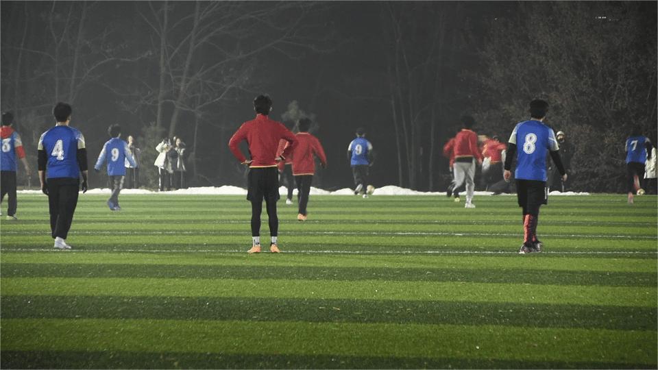 加油世界杯,加油巴西世界杯