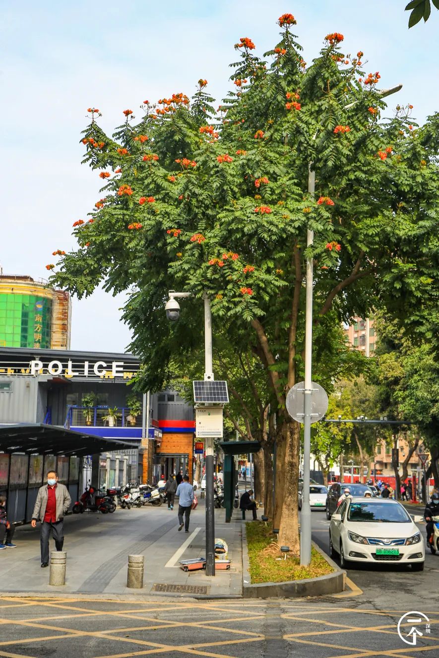 深圳富士康打工真实生活,我在富士康干了24天能拿多少钱