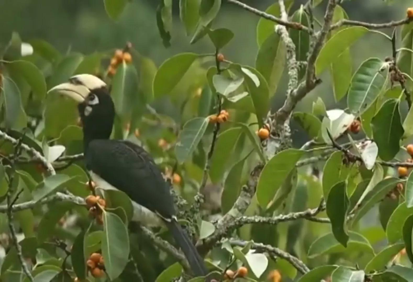 干支纪年如何转换为公元纪年,干支纪年和公元纪年对照表