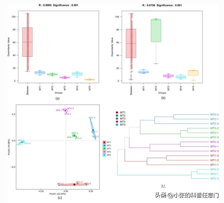 淫羊藿野生和种植效果有区别吗,淫羊藿根系