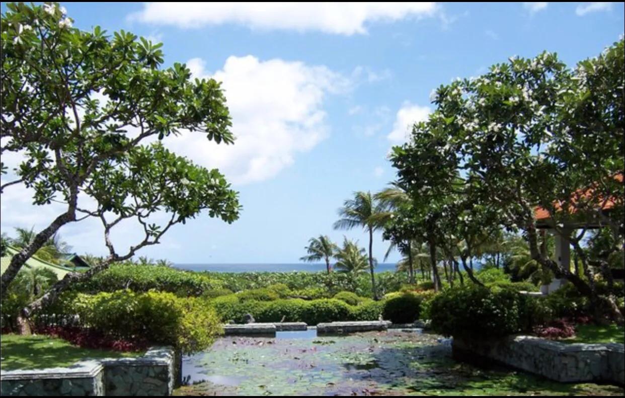 疫情期间提升免疫力的心态,疫情期间强身健体提高免疫力