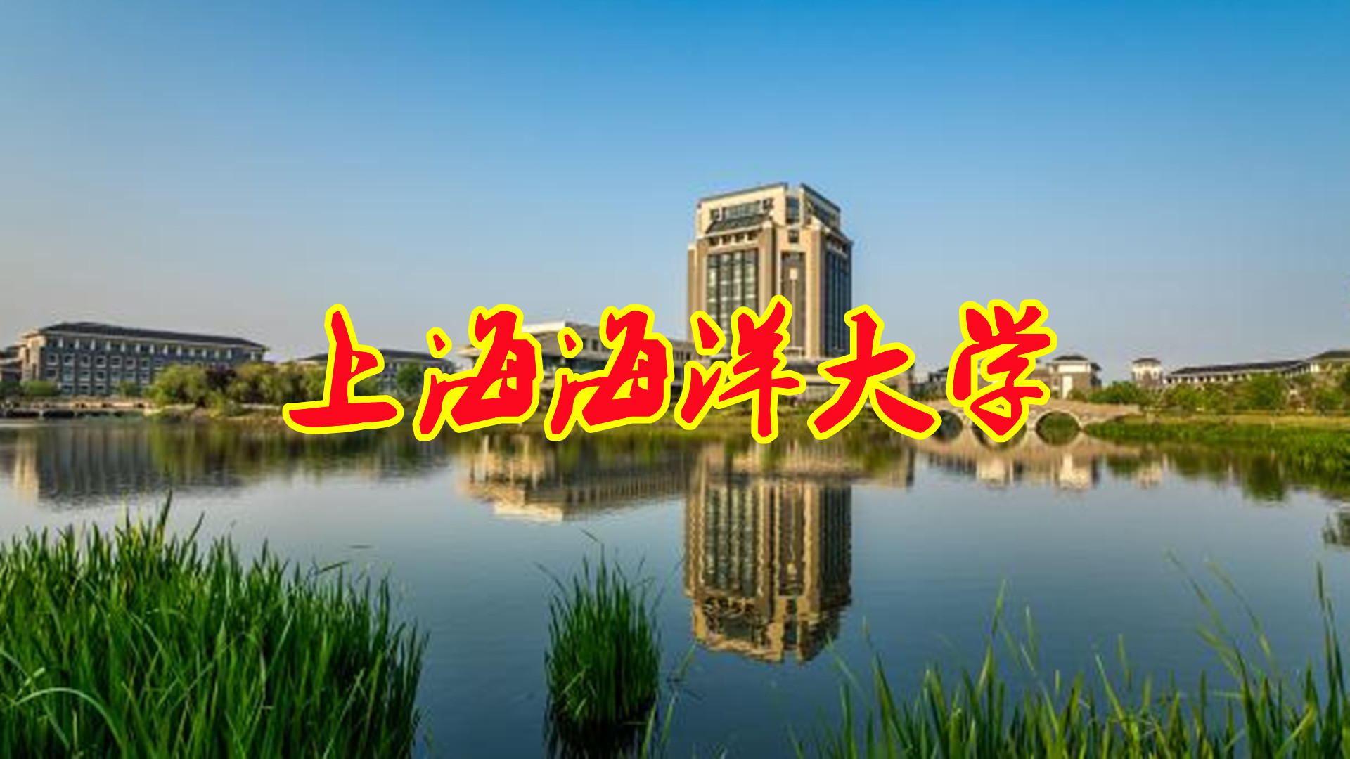 上海海洋大学的王牌专业是什么,上海海洋大学水产专业河北录取