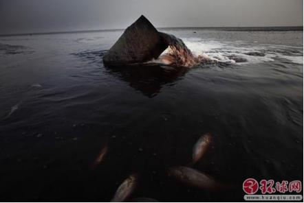 30多年了，中国终于彻底清除了“洋垃圾”