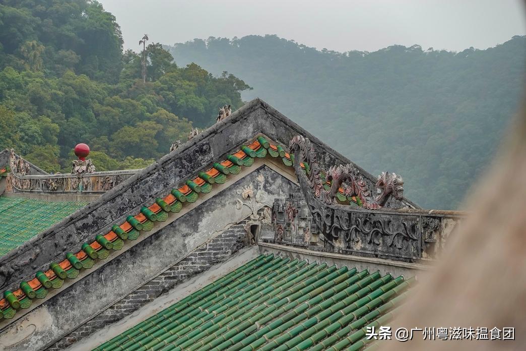 来绿林润肺放肆“森”呼吸，体验全新肇庆喜来登酒