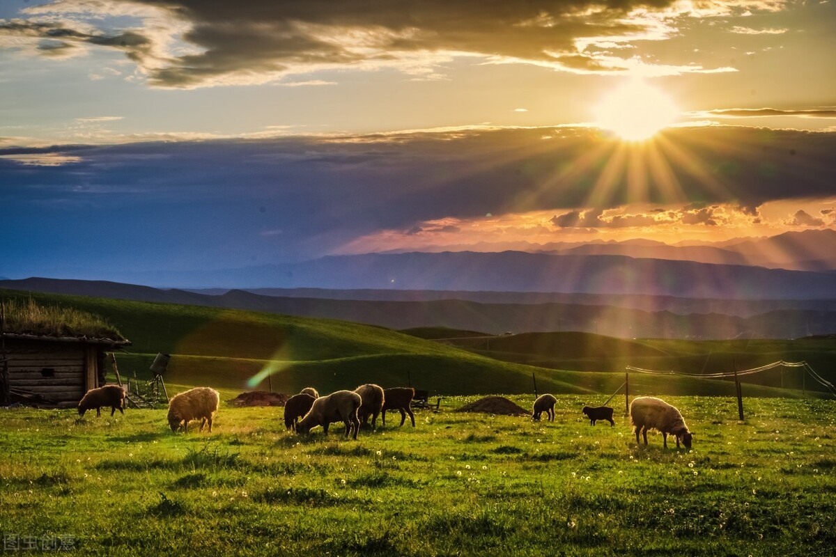 小故事、大哲理：光环下的鱼