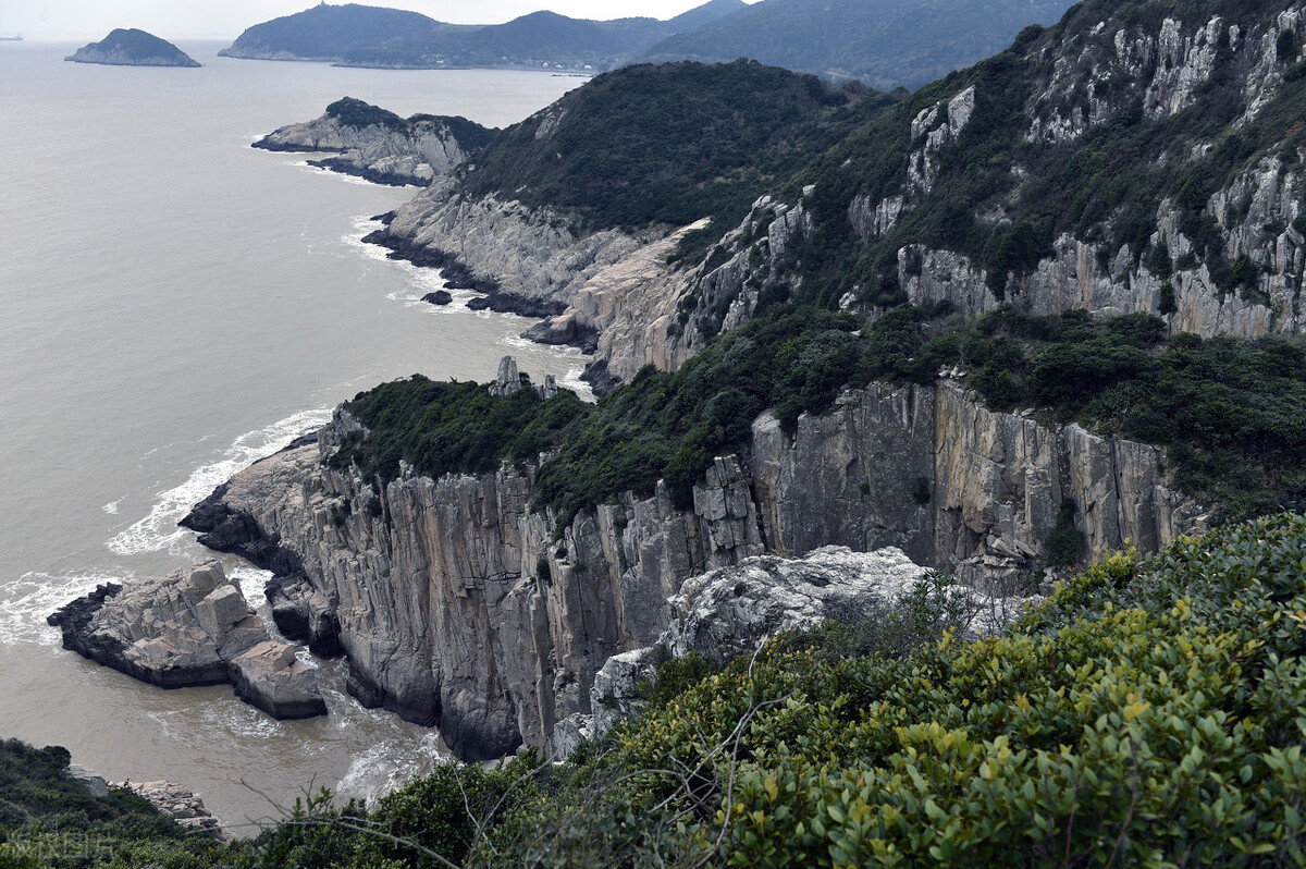 宠物自驾游舟山,舟山自驾游攻略出海带狗