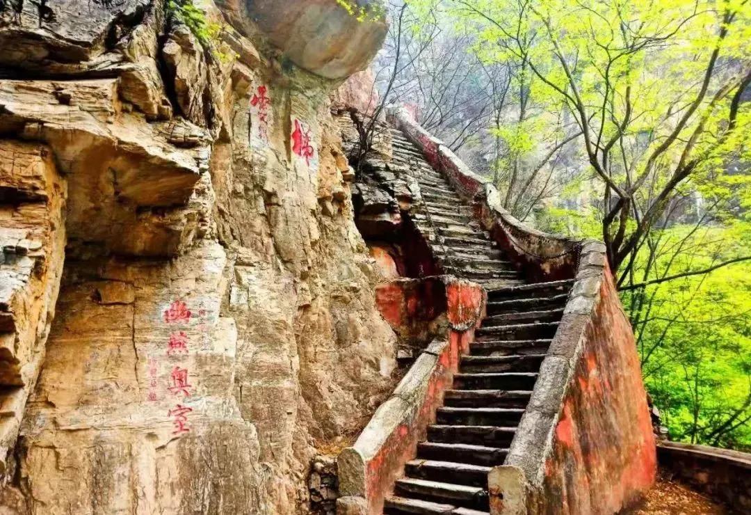 走云梯、寻树王、悟禅意～上方山游记