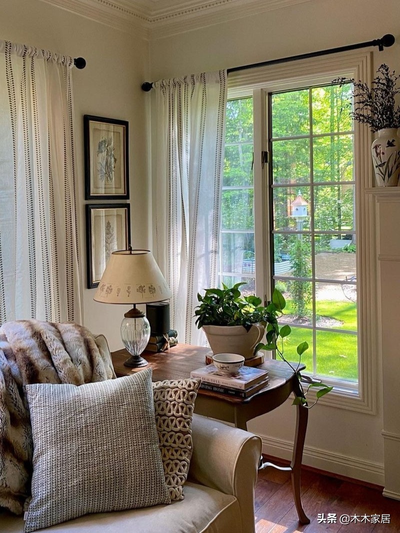 看看你家客厅的绿植效果图,大白墙绿植客厅高级感