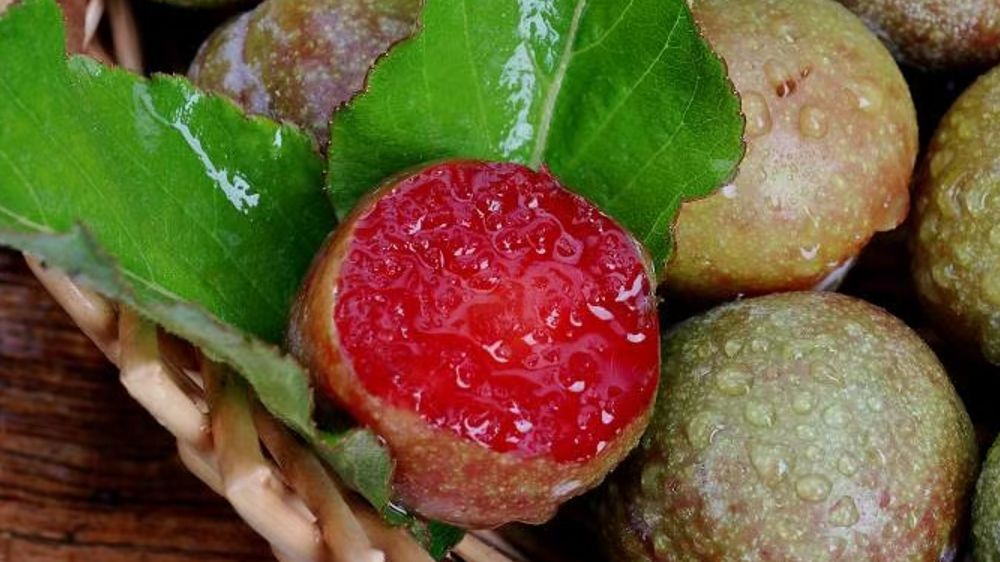 开水果店加盟还是不加盟好,开水果店有加盟店能教你什么