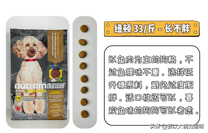 狗粮推荐哪个牌子最好,麦富迪狗粮和力狼狗粮哪个牌子好