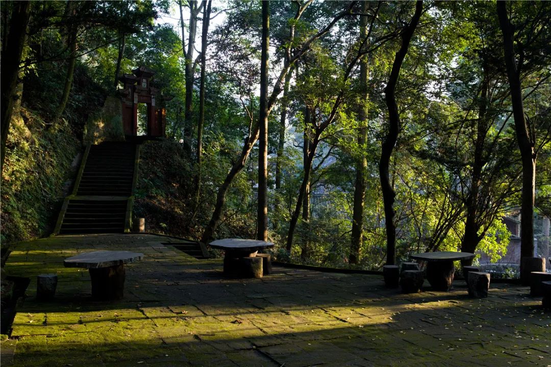 非遗奇遇记端午赛龙舟,端午节赛龙舟比较有特色文艺活动