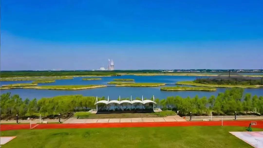 旅游避暑胜地冰城清凉之夏等你来,网友建议哈尔滨夏季避暑旅游