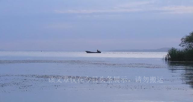 水下疯狗,水下疯狗侵入黄河