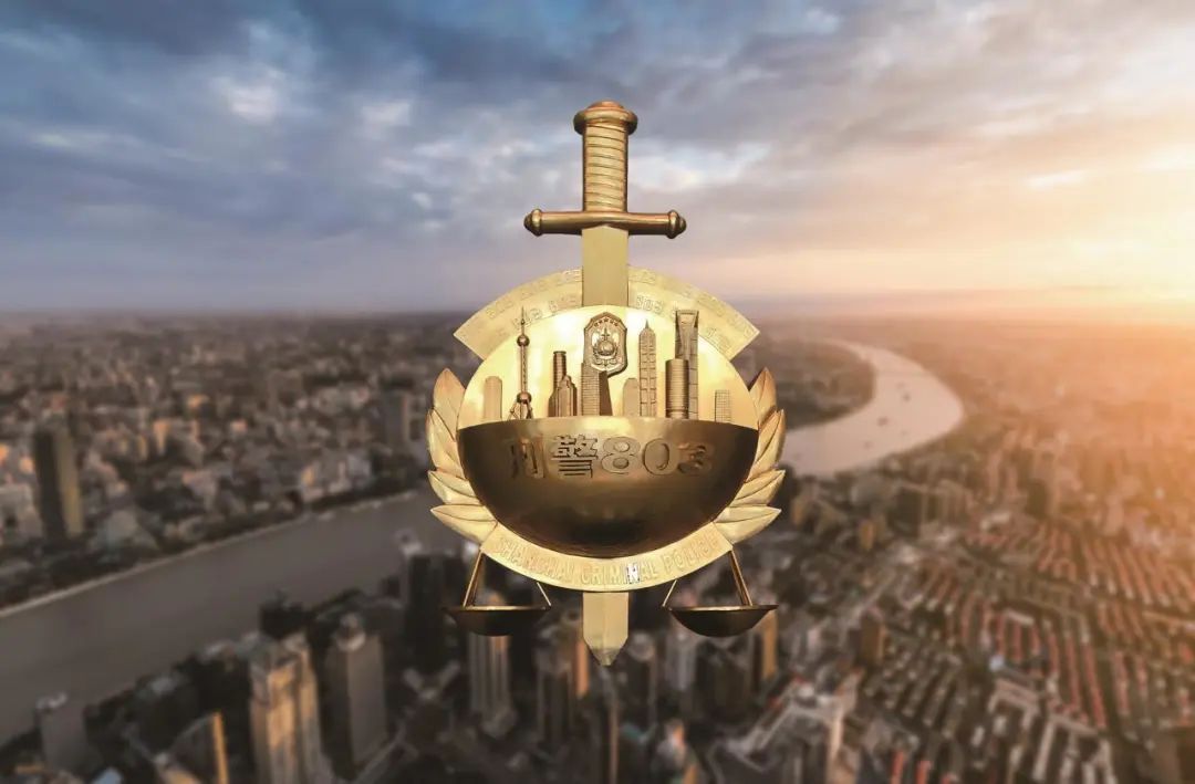 上海治安百日行动收网,百日治安打击行动圆满结束