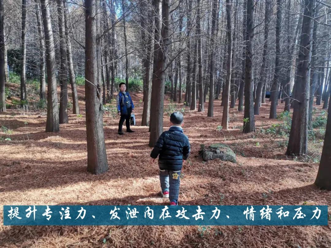 让孩子专注力好的游戏,锻炼孩子奔跑能力的游戏