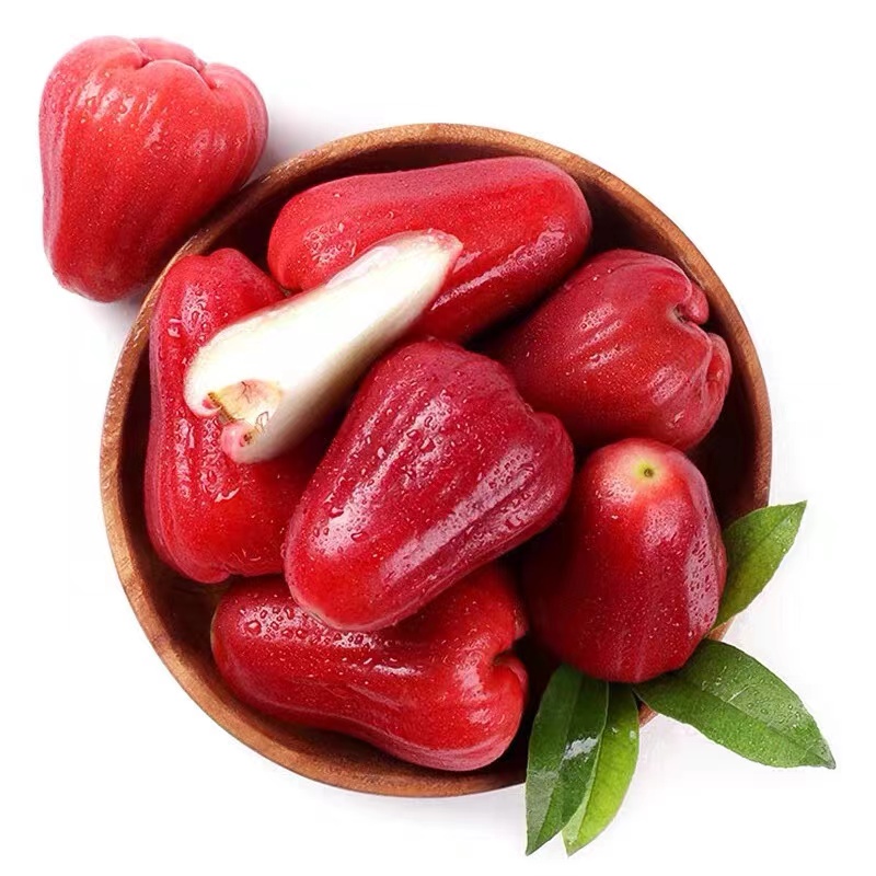 带你认识热带植物,带你认识水果