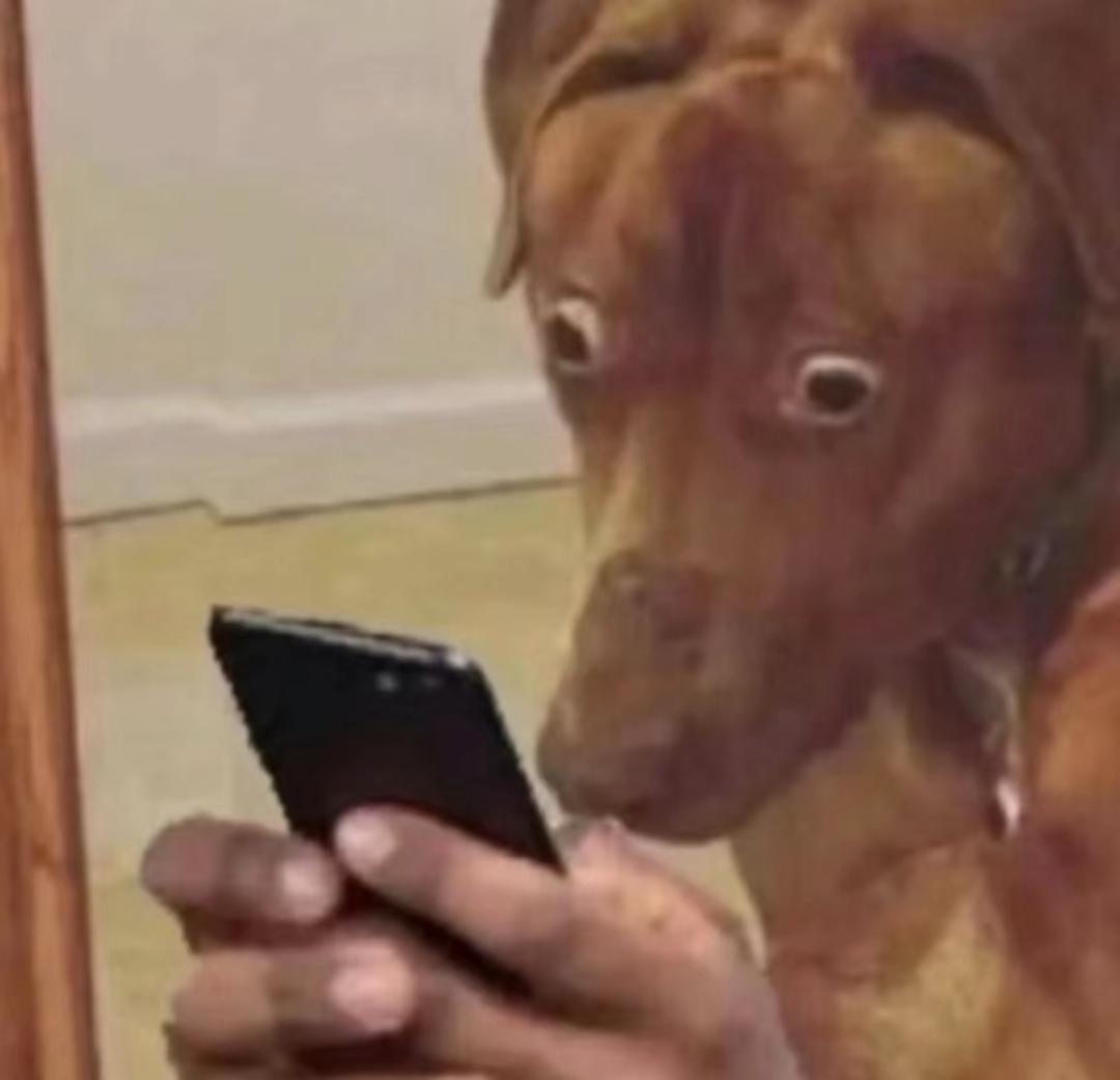 99%的人都不会正确擦屁股,带薪拉屎必看!