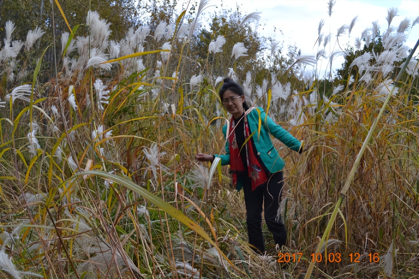 乌苏里江一日游攻略,乌苏里江全程游