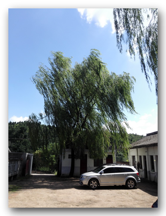 枫丹白露中国,探访中国最北漠河