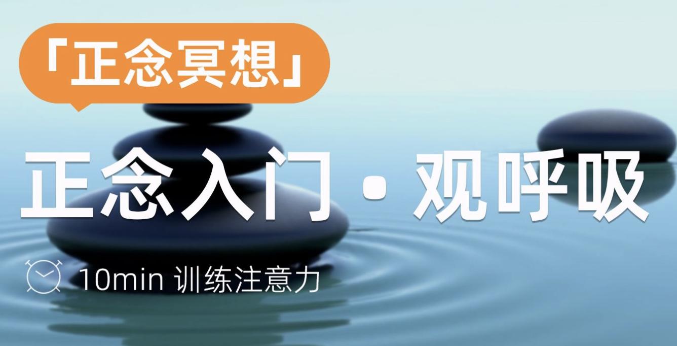 李少波气功全集,李少波真气运行书籍