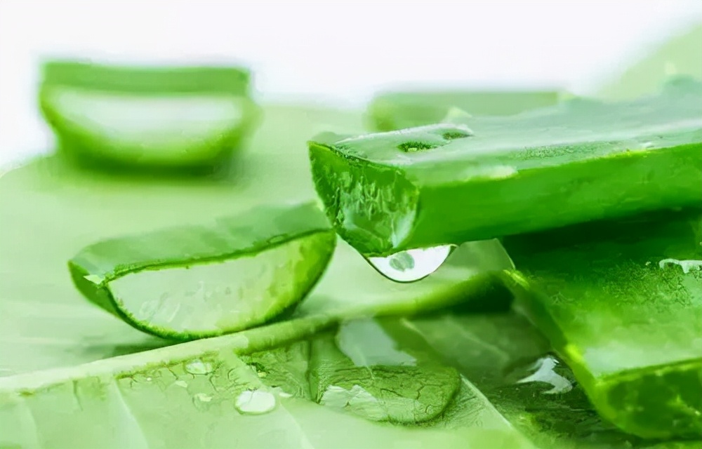 白癜风患者能在白斑上涂芦荟胶吗,白癜风光疗后结皮了能擦掉吗