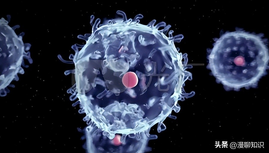 马传染性子宫炎传染性较强，它的传播途径有哪些