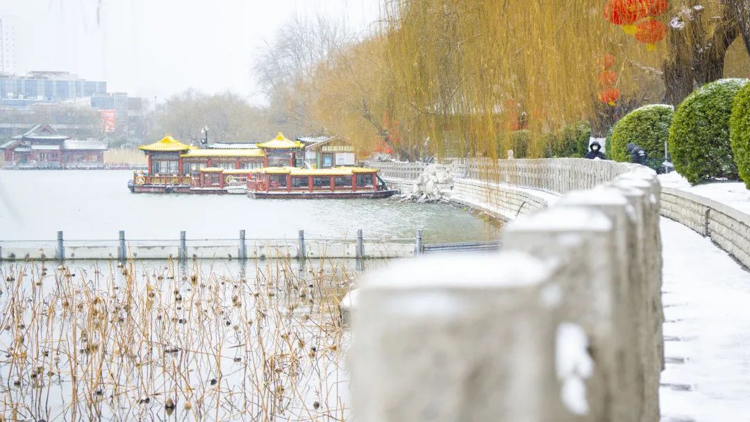 冬天的济南美丽雪景,济南的冬天平常与不平常的冬景