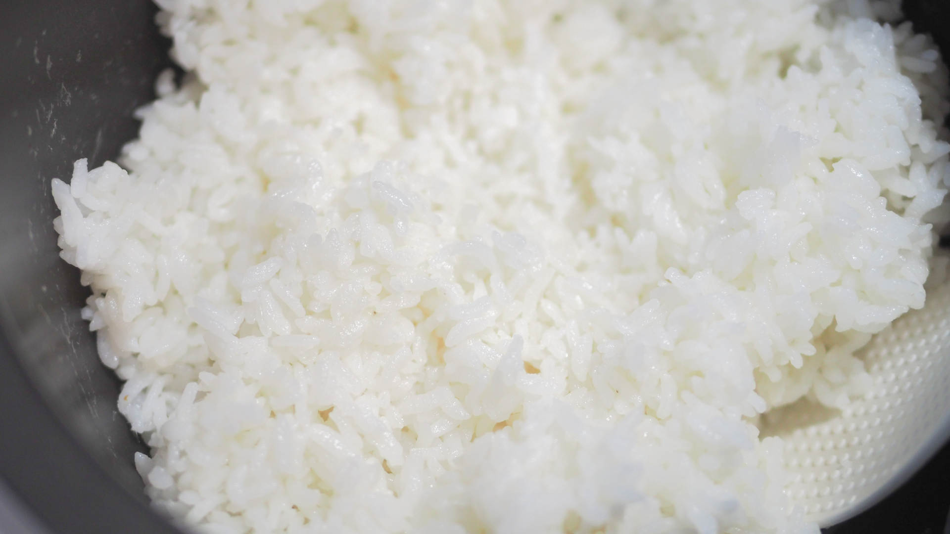 厨艺越差越要好装备｜东芝电饭煲10LTC