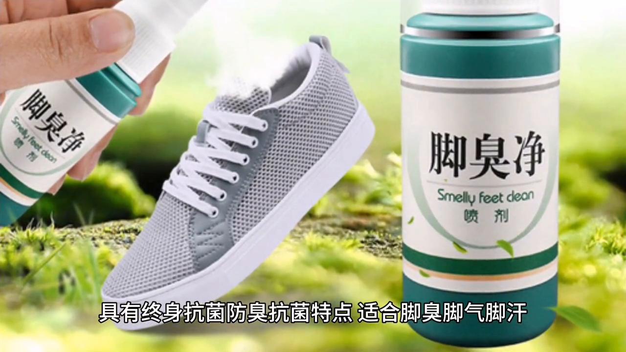 每天学一点点就是成功的开始,每天学一点点历史