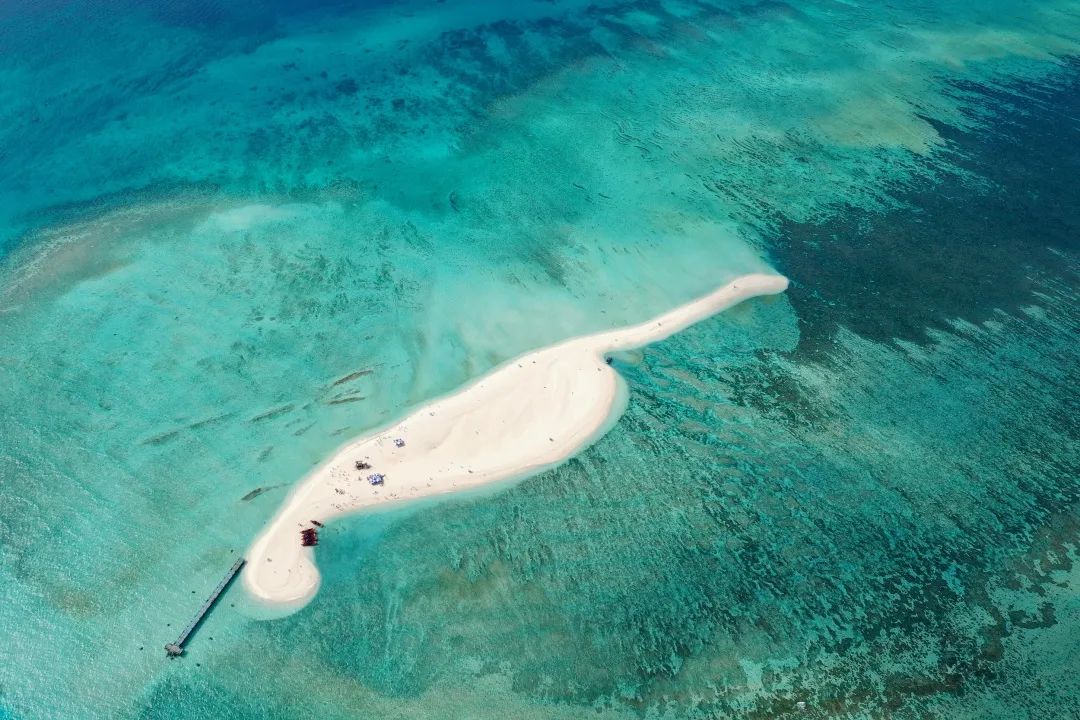 富饶的西沙群岛海底视频,西沙群岛最大岛屿是哪个