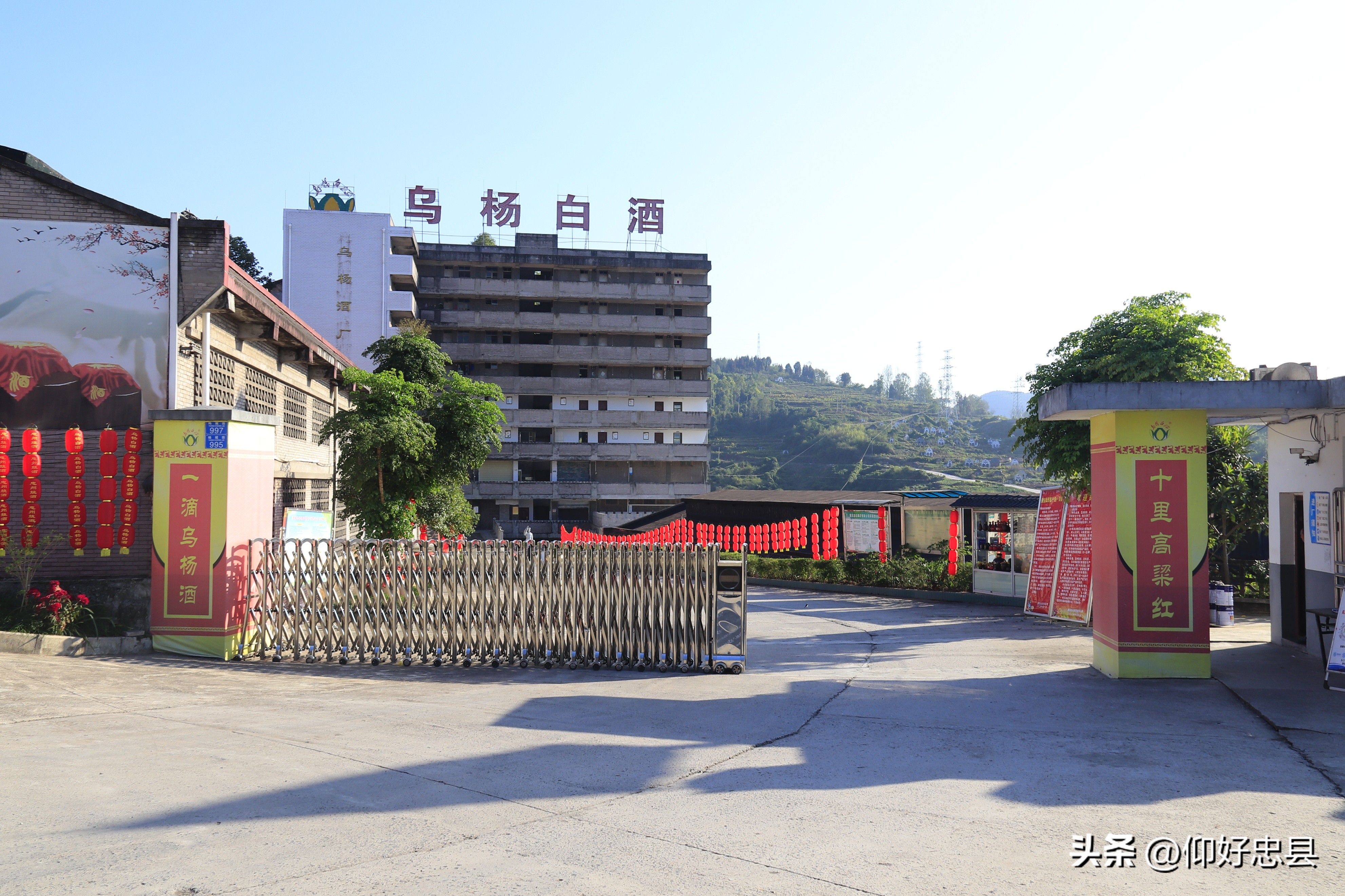 果酒酿酒的新技术,果酒酿造原理及制作方法