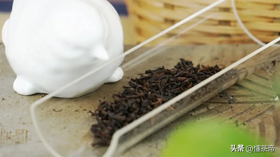 孙俪推荐的祛湿六堡茶,孙俪六堡茶功效与作用