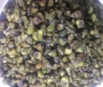 《寻味顺德》校本课程第二课