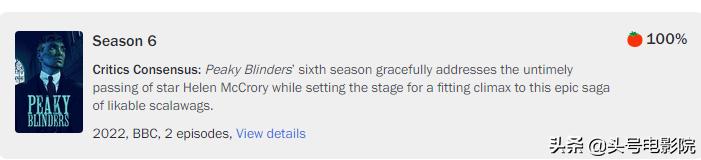 美剧浴血黑帮解说9.0以上评分,浴血黑帮第一季深度解析