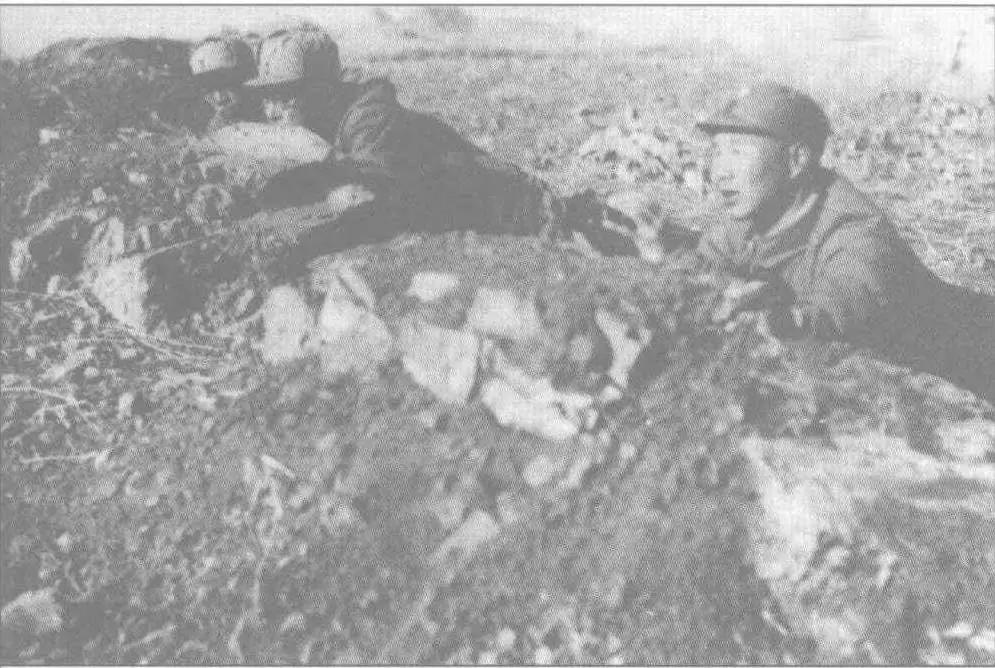 八路军写检讨,八路军下令杀鬼子报仇