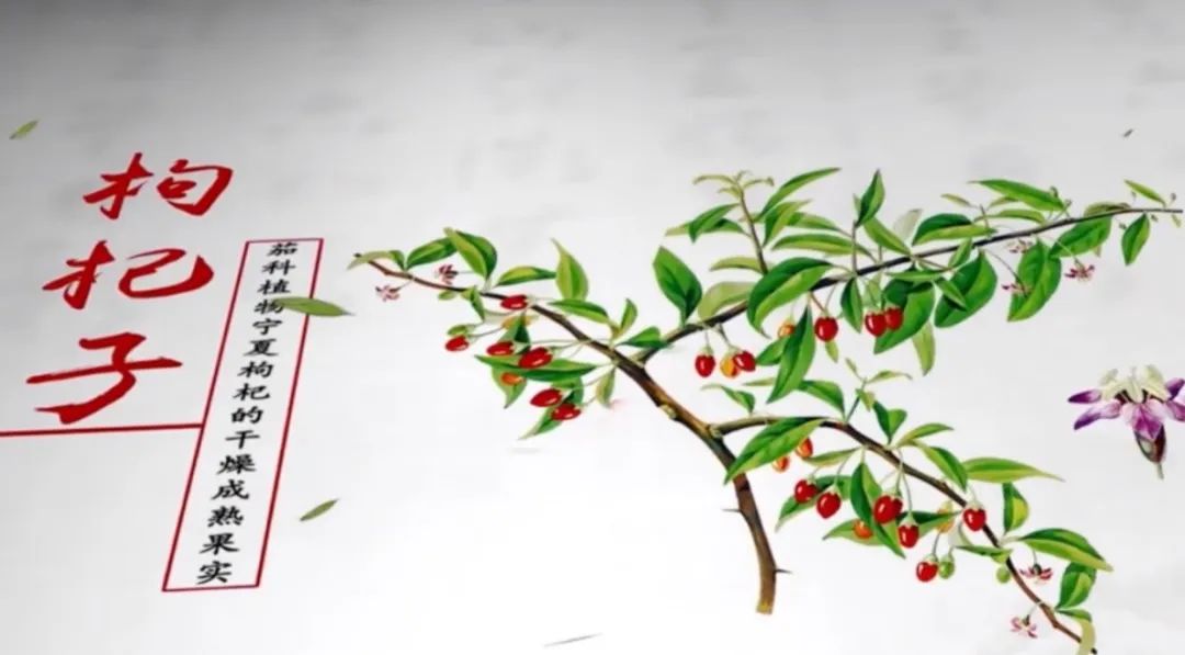 一方水土养一方药,一方水土养一方人文章