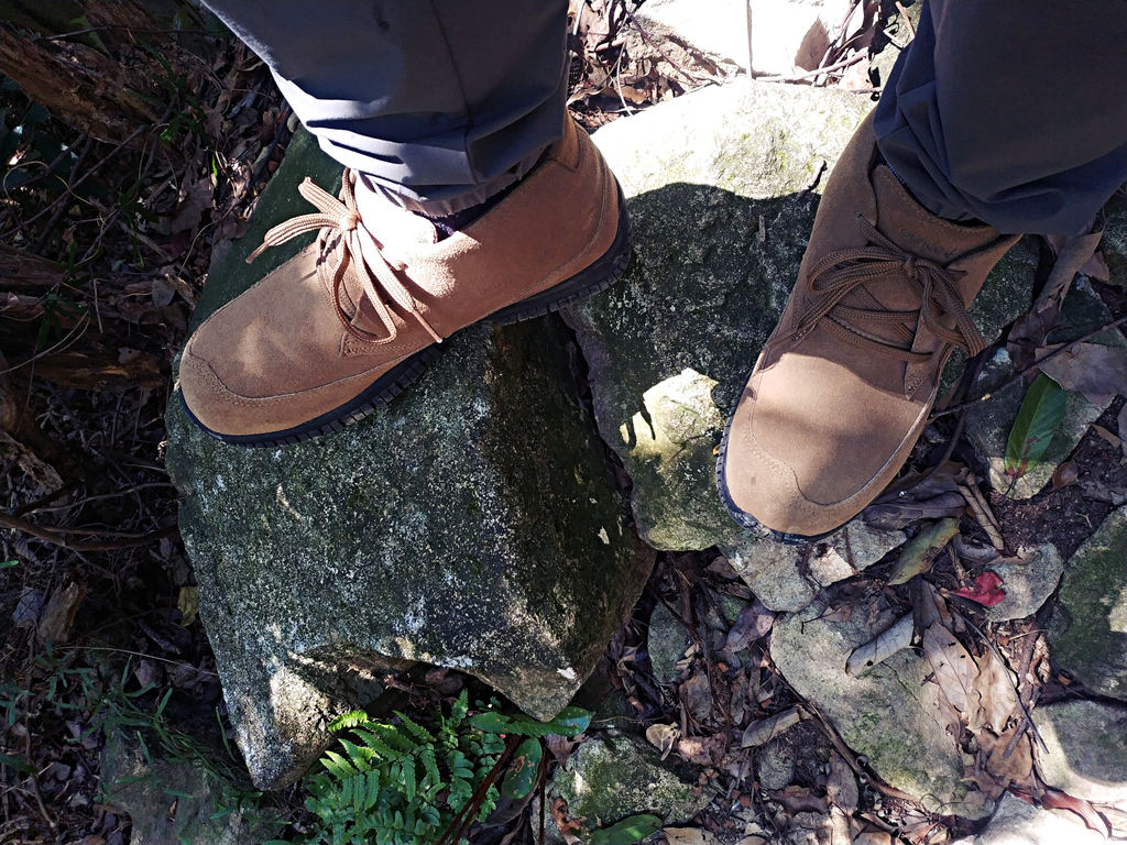 閬ㄦ父浠昹3鍜宭3n,閬ㄦ父浠曠櫥灞遍瀷l3鍜宭1