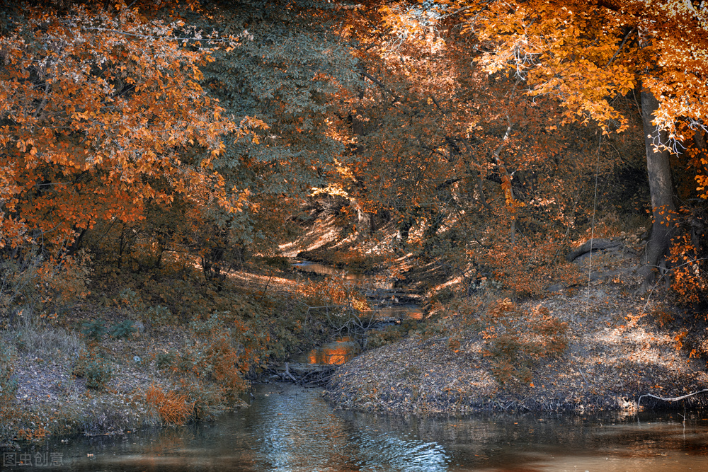 李白写过沙丘城下寄杜甫,望月思乡李白即兴吟诗