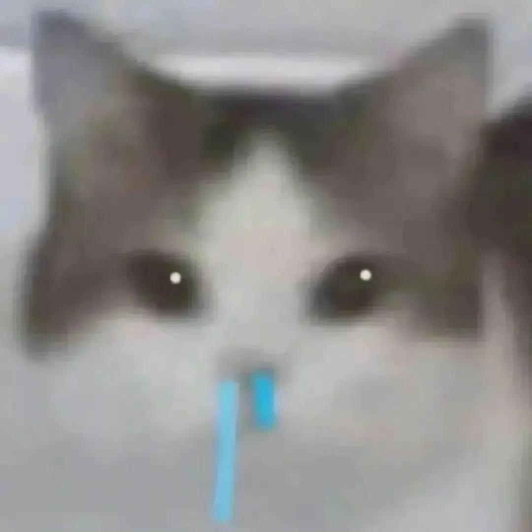 幽默调皮动态可爱撩人表情包,2022超火表情包可爱图片