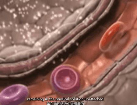 血氧仪多少钱一个呢,1380元血氧仪