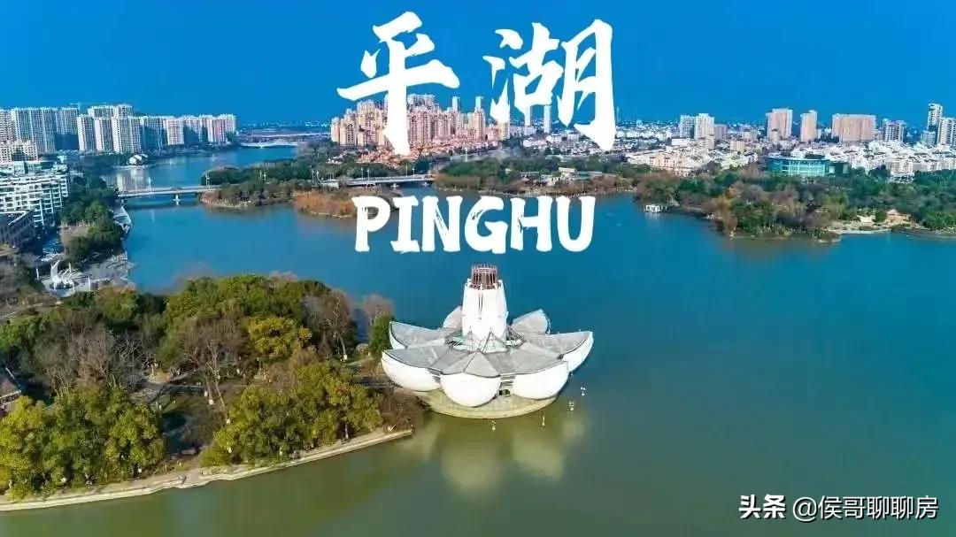 平湖市房产未来如何发展,浙江平湖未来5年房价走势