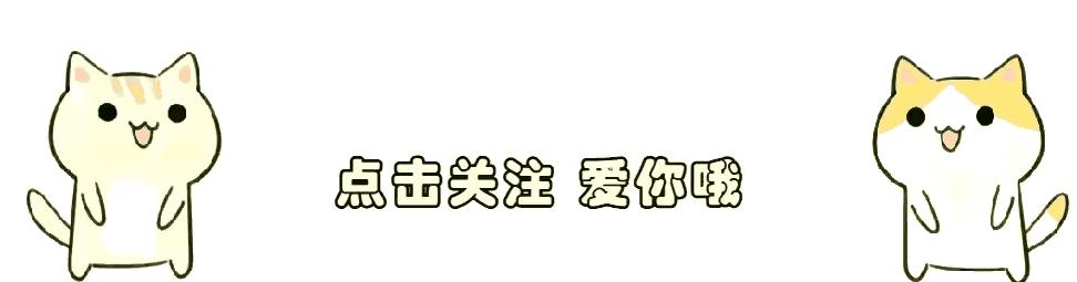 李小智是什么,李小智是谁