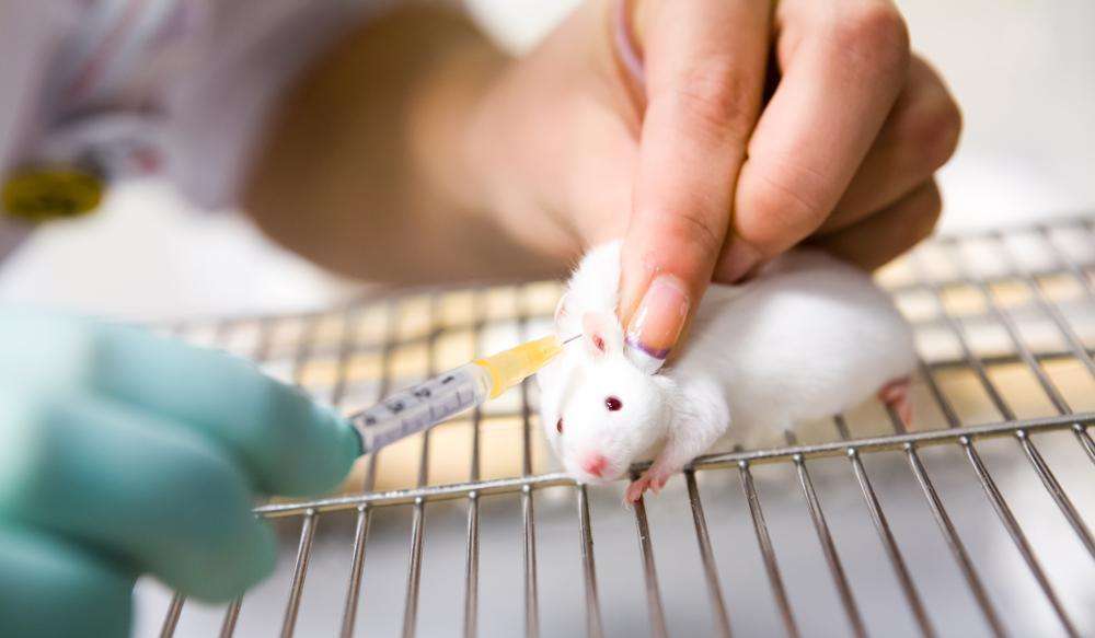 癌症最佳逆转期,治疗癌症最后的时光