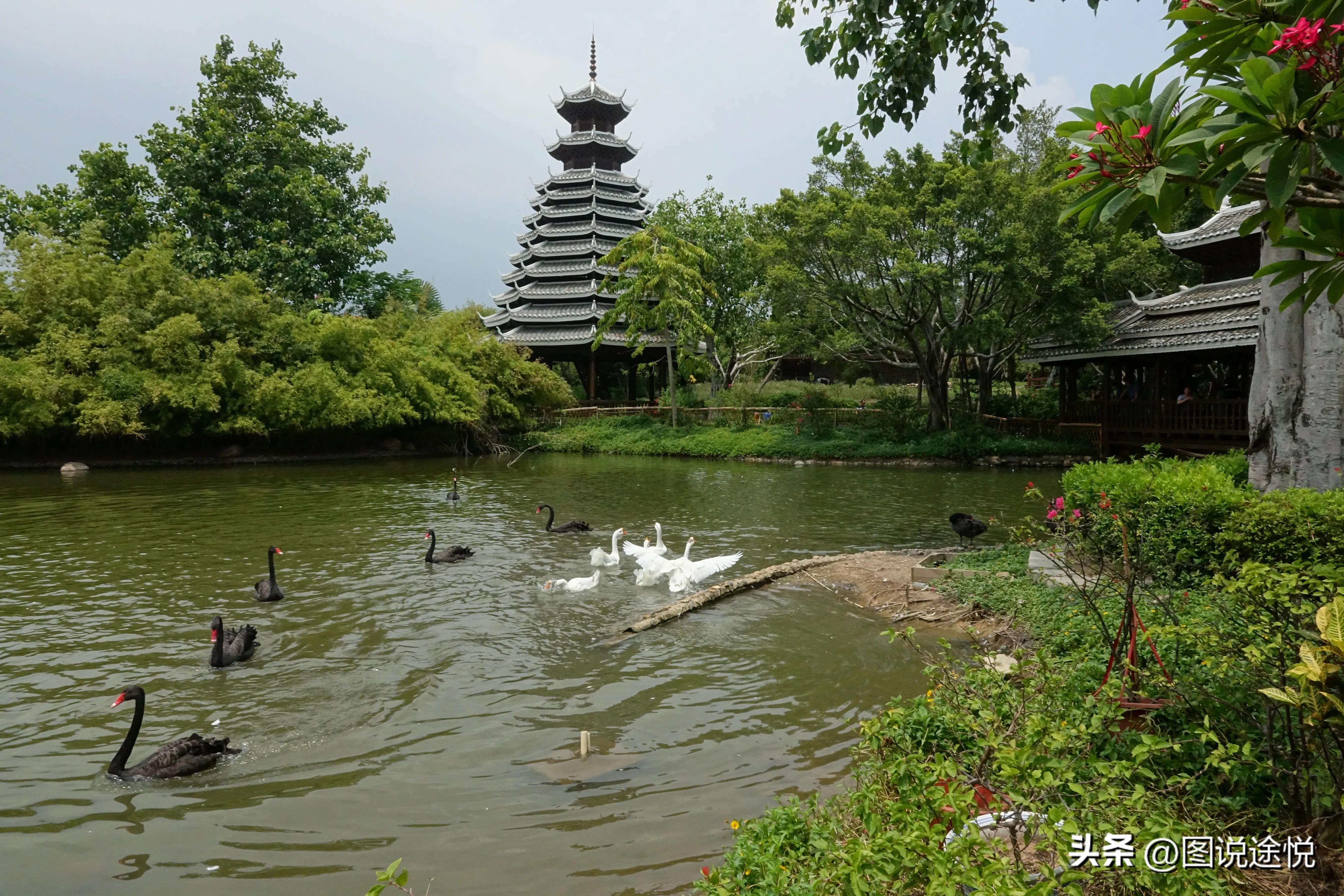 厦门园博苑有哪些风景,厦门园博苑海上大观园