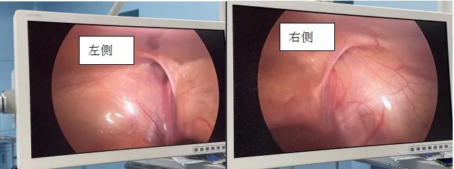 神秘之旅,神秘之旅视频