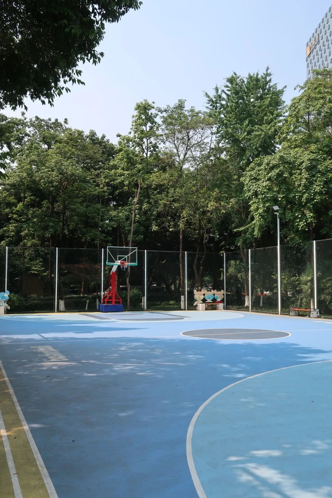 篮球羽毛球乒乓球综合馆,收藏性价比