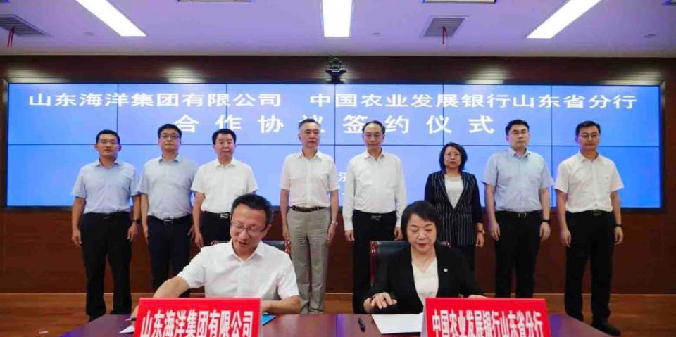 山东海洋集团借款,山东海洋集团2020年利润