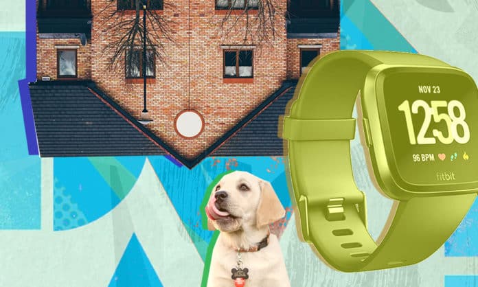 物联网是什么意思简单介绍,物联网是什么意思10个字